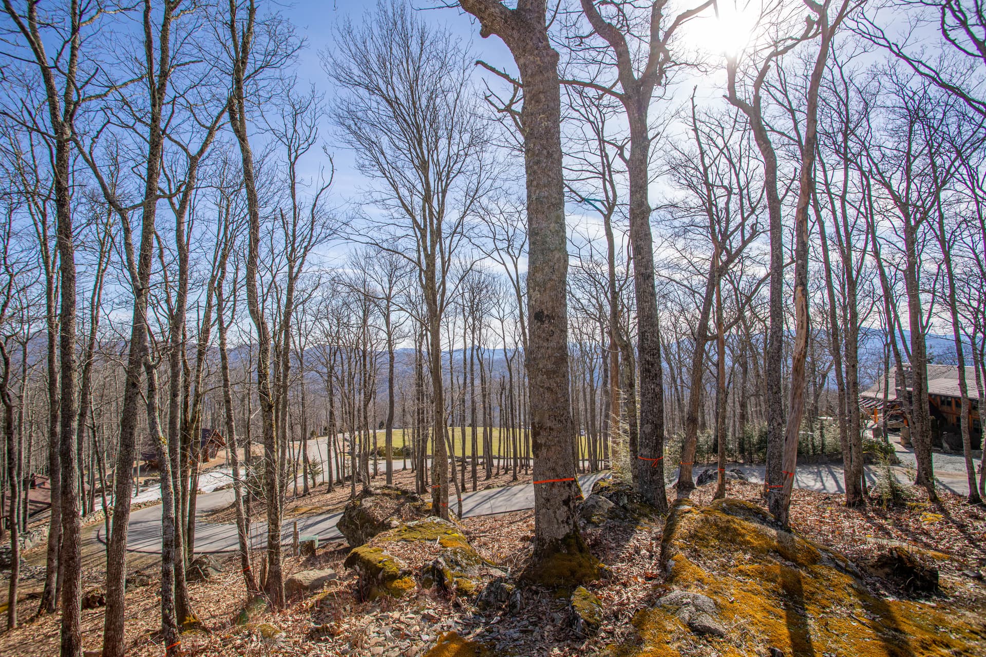 Big Elk Home - Image 2