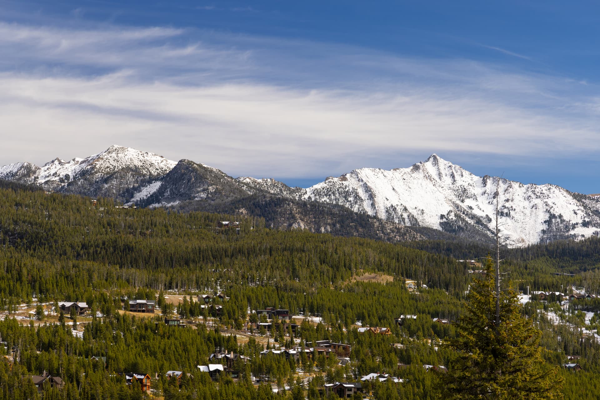 Powder & Pines - Image 41