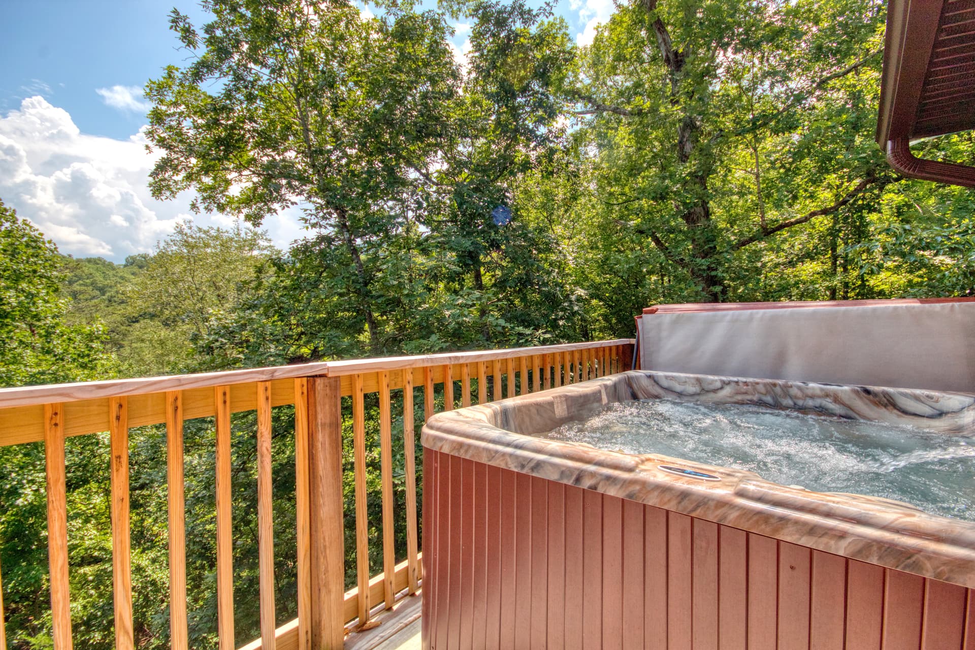 Black Bear Cinema - Image 3