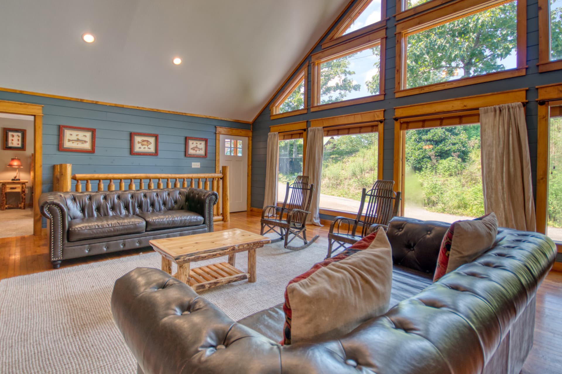 Black Bear Cinema - Image 3