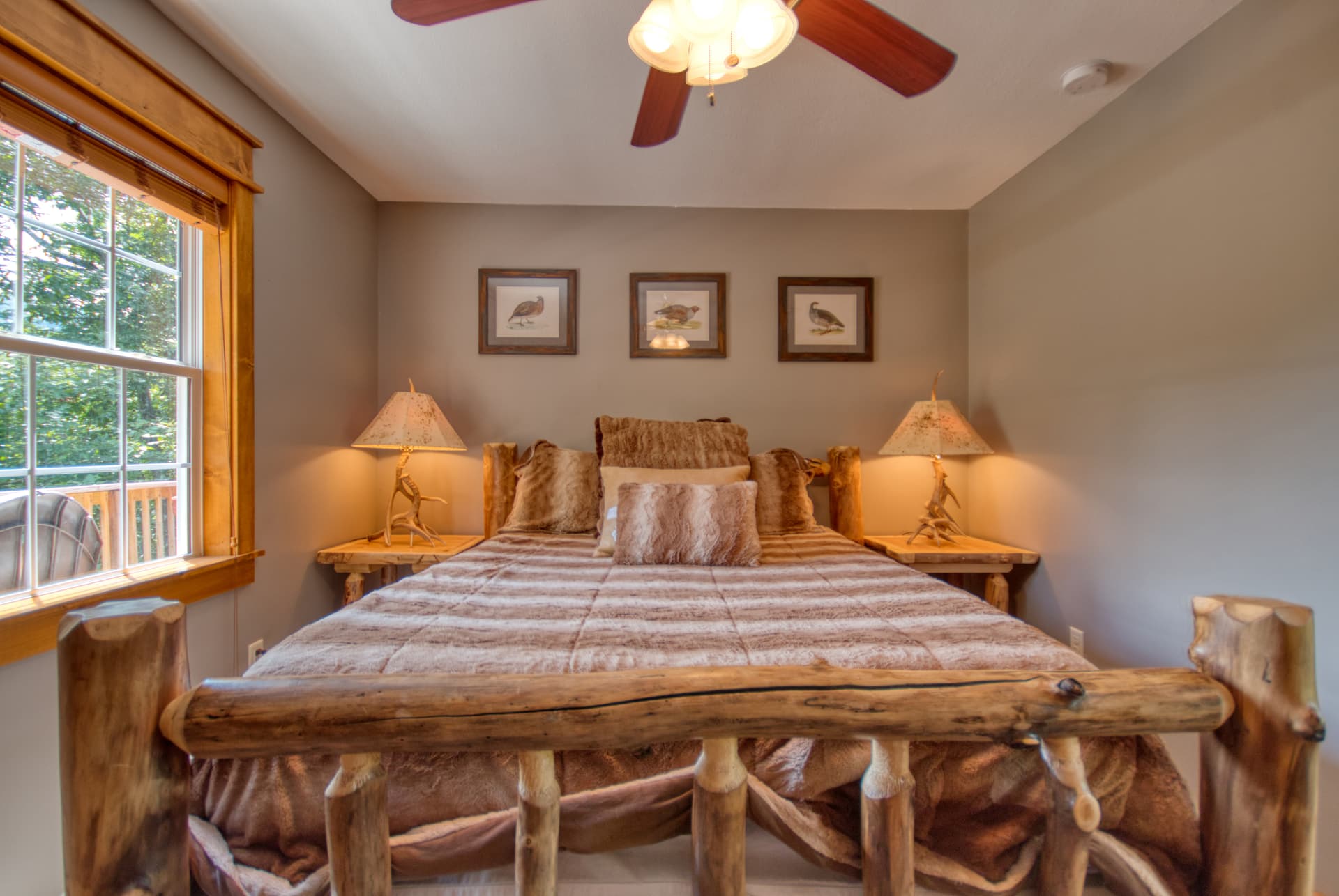 Black Bear Cinema - Image 10