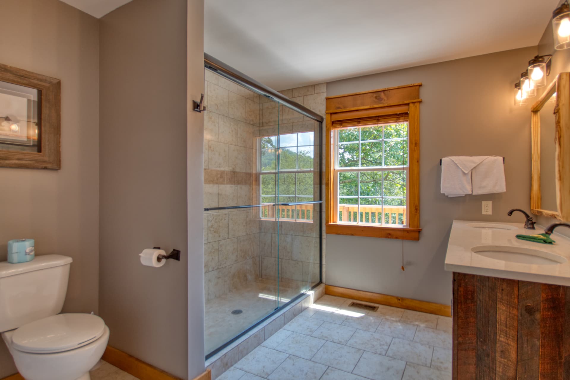 Black Bear Cinema - Image 9