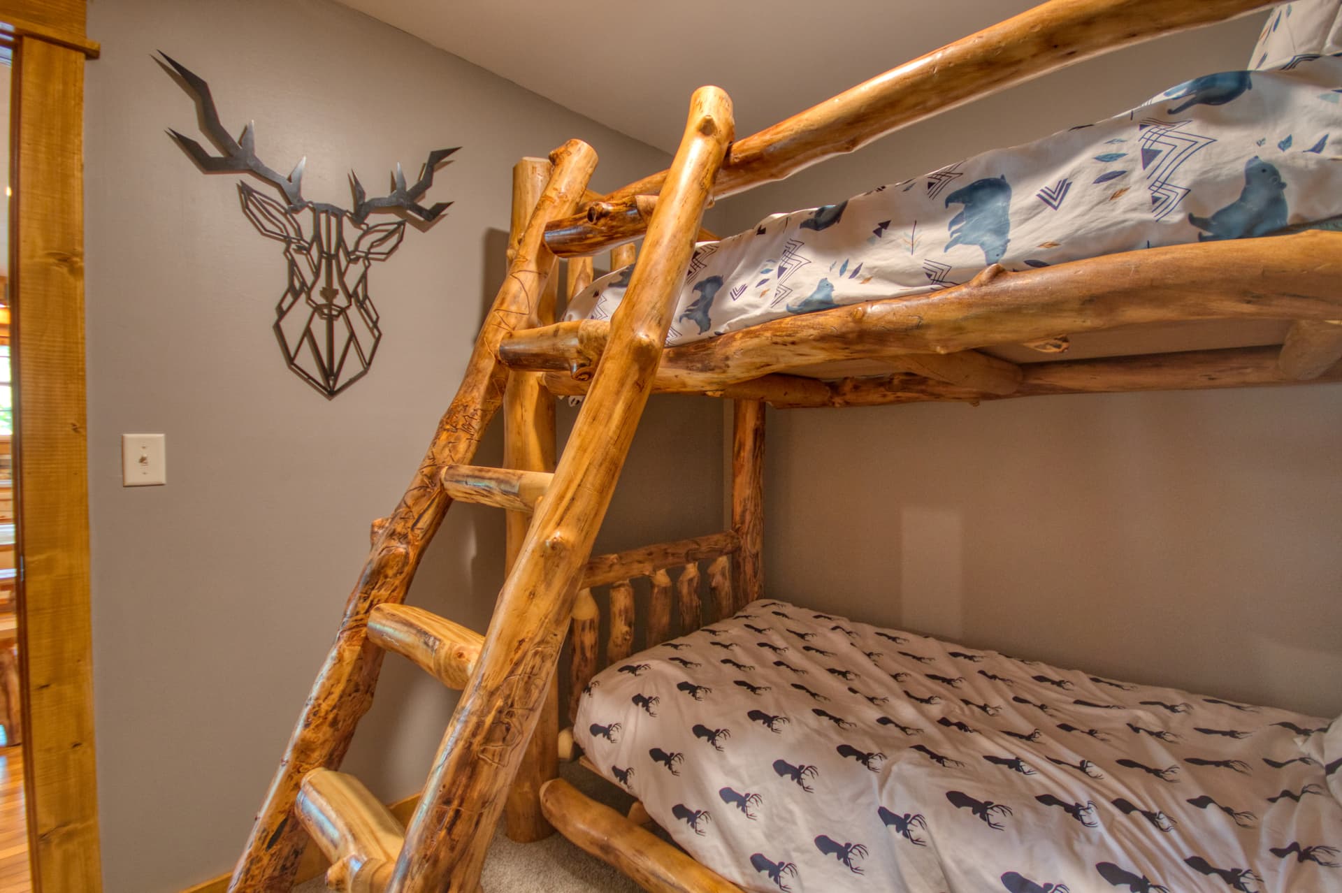 Black Bear Cinema - Image 13