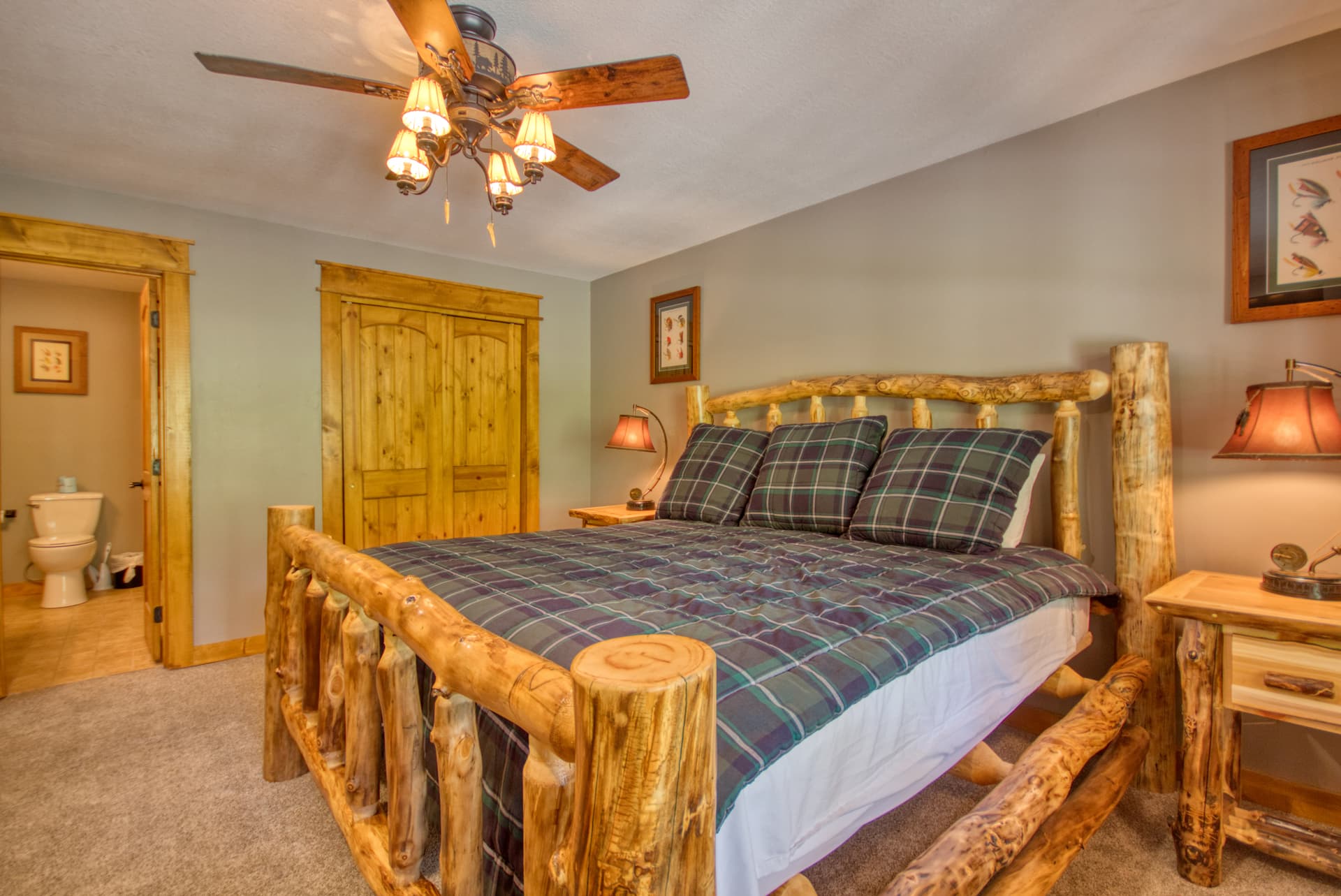 Black Bear Cinema - Image 16