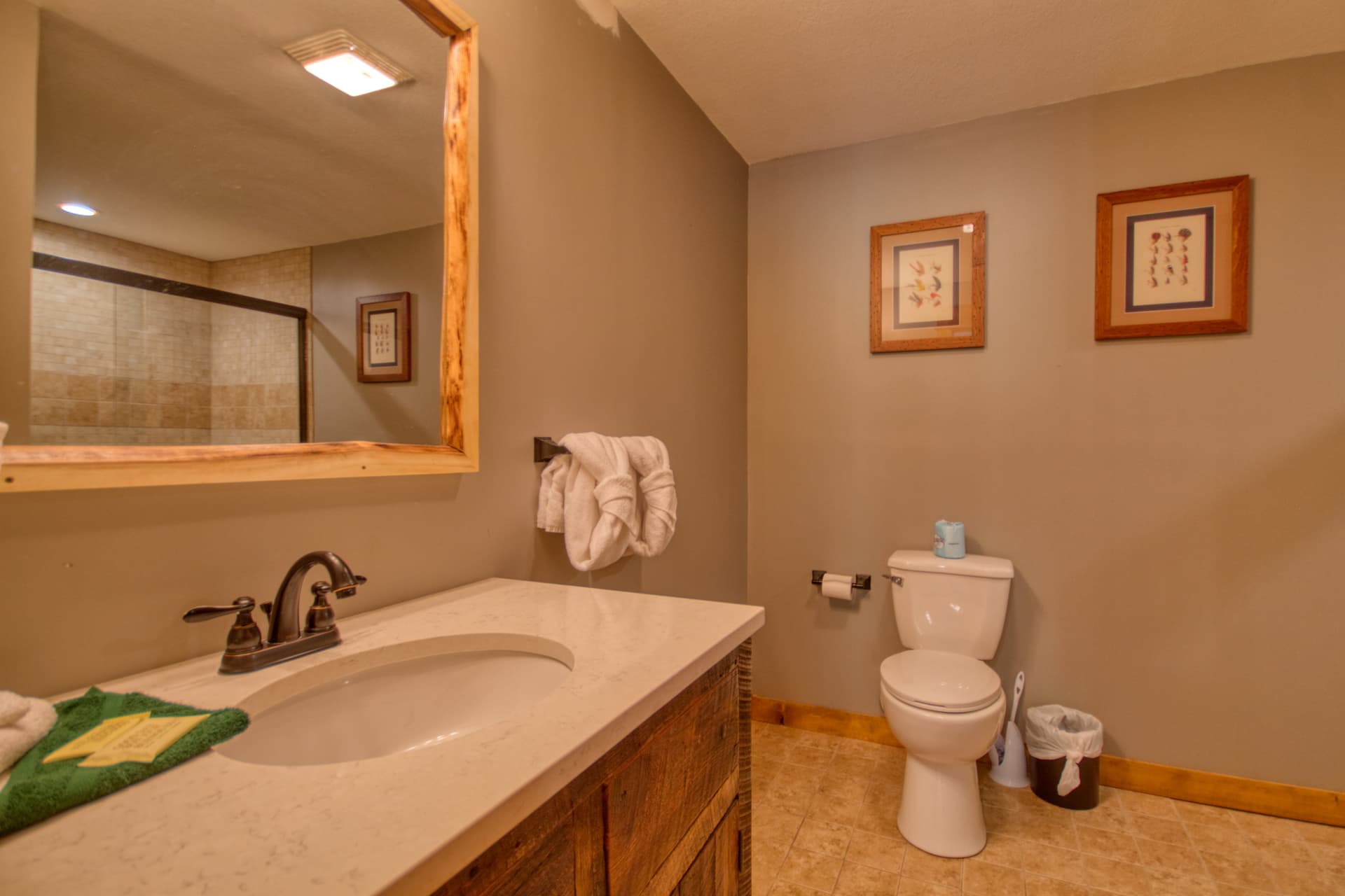 Black Bear Cinema - Image 17