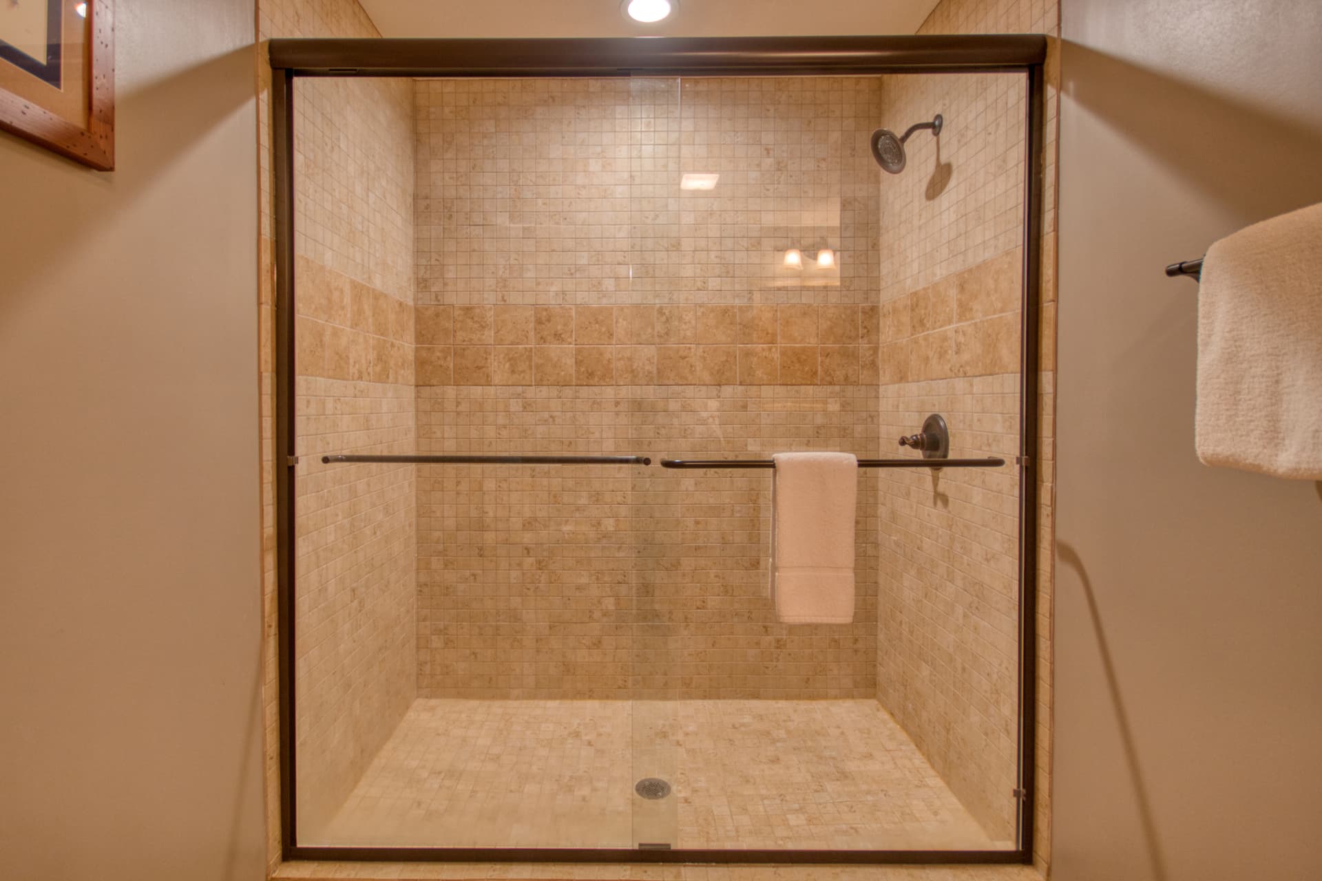 Black Bear Cinema - Image 18