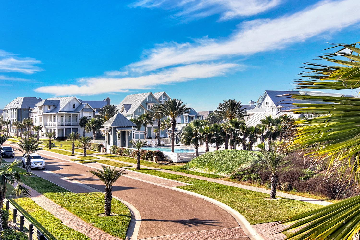 Blue Crab - Image 62