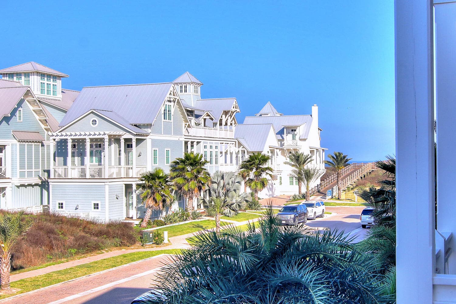 Blue Crab - Image 59