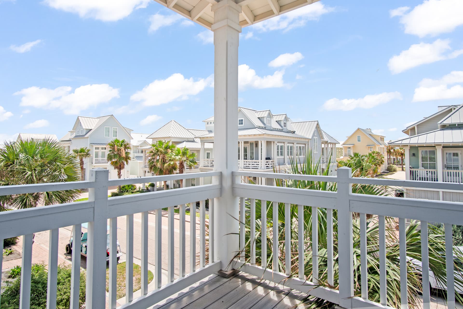 Blue Crab - Image 54