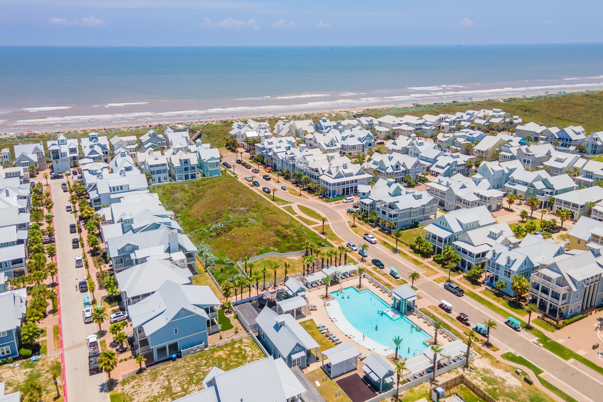 Blue Crab - Image 63