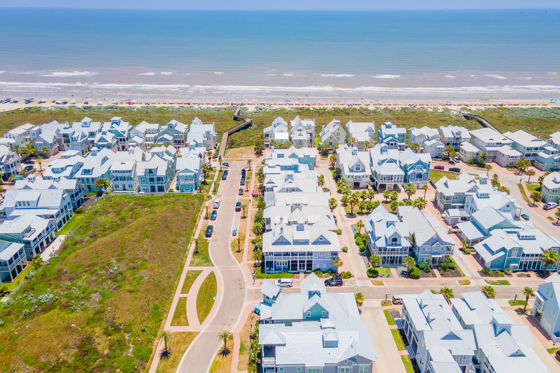 Blue Crab - Image 68