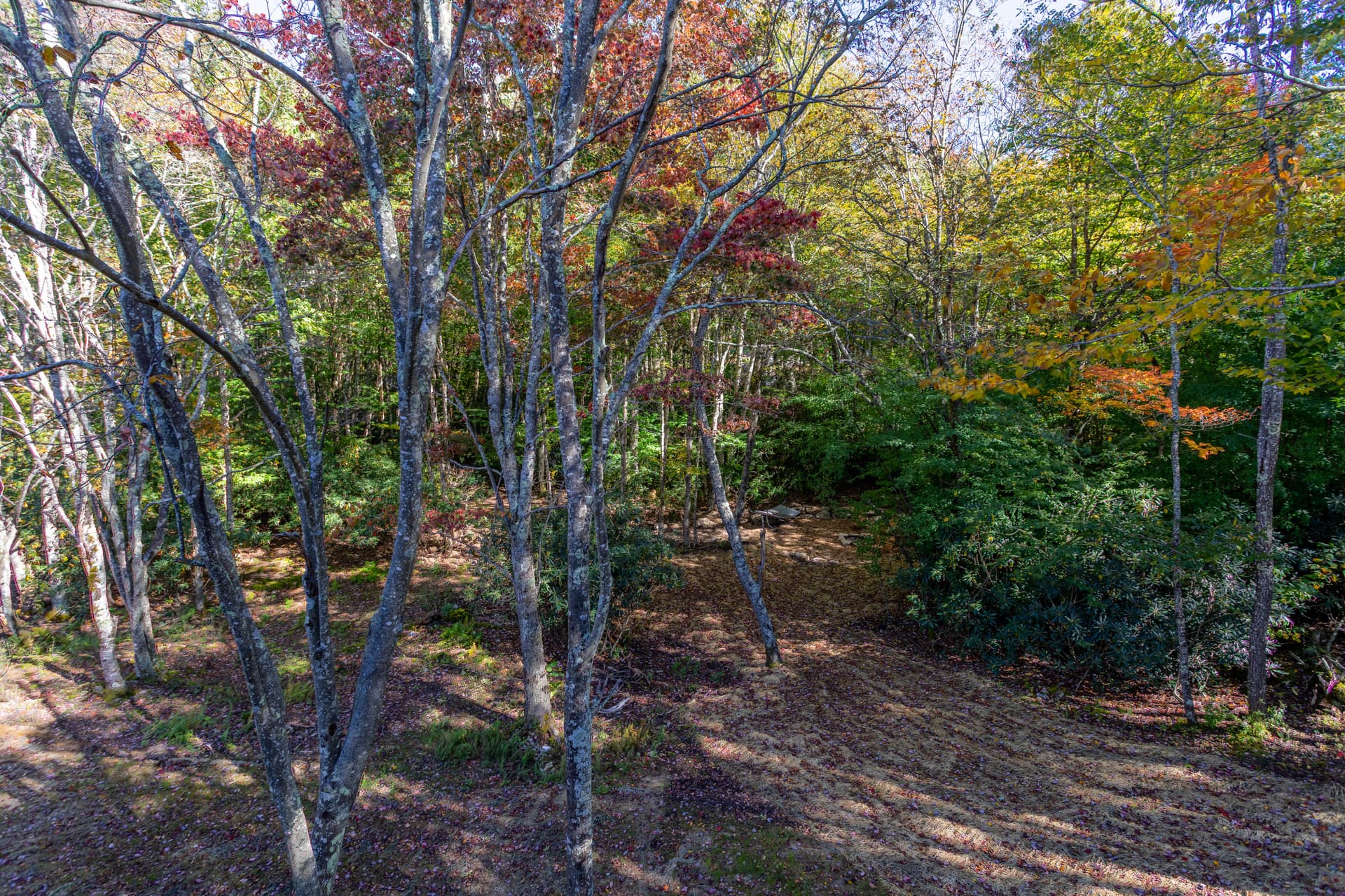 Blue Creek Cabin Home - Image 18