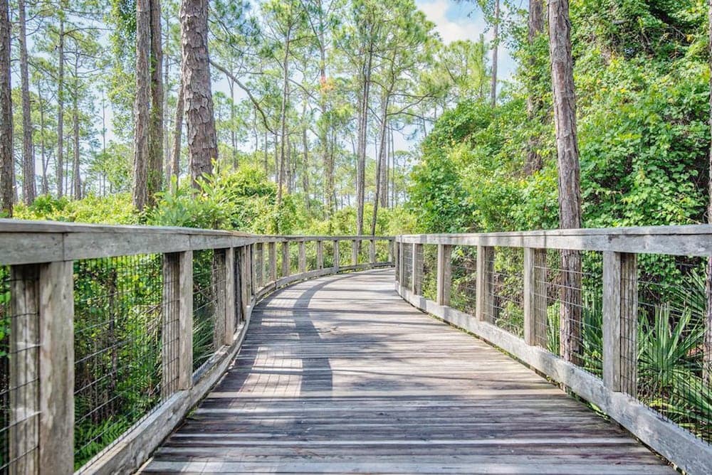 Blue Moon - Image 55