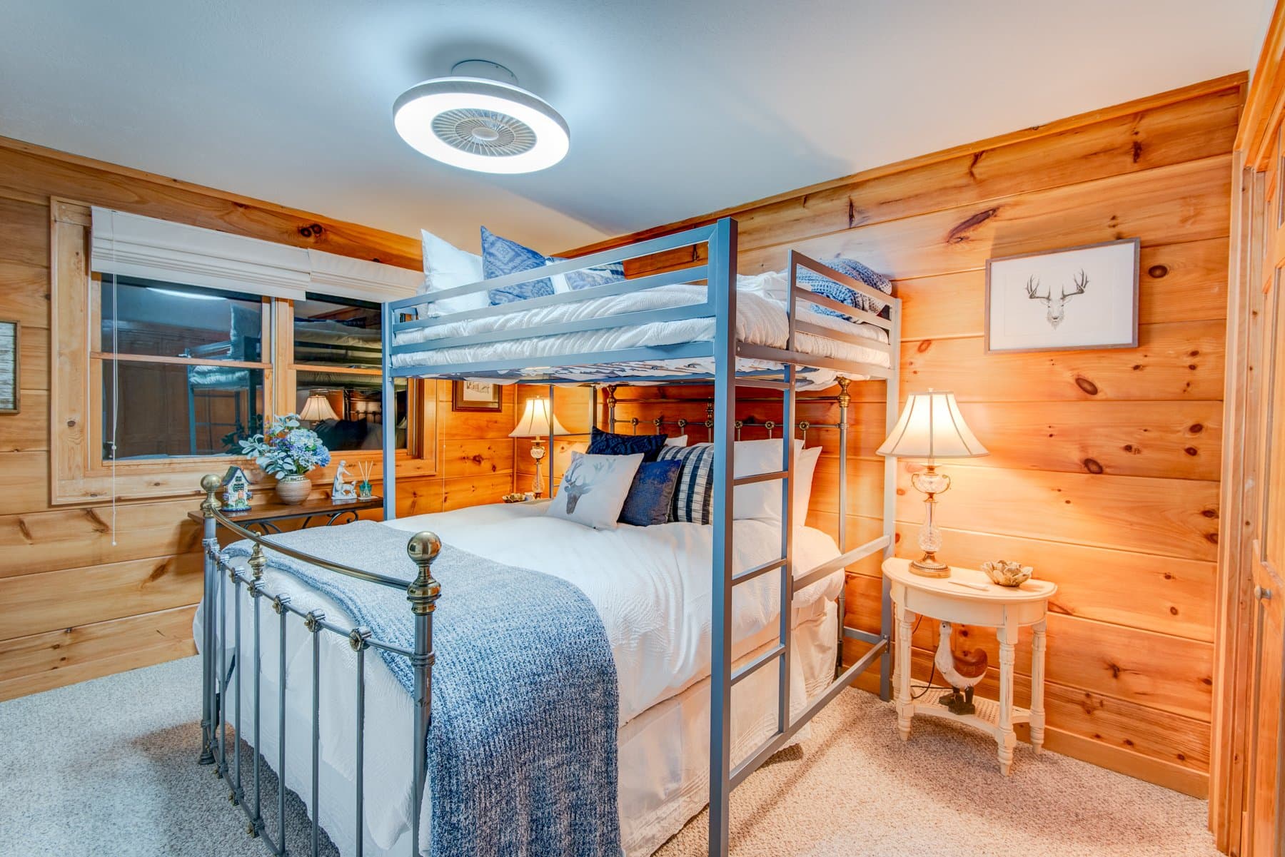 Blueberry Hills - Image 29