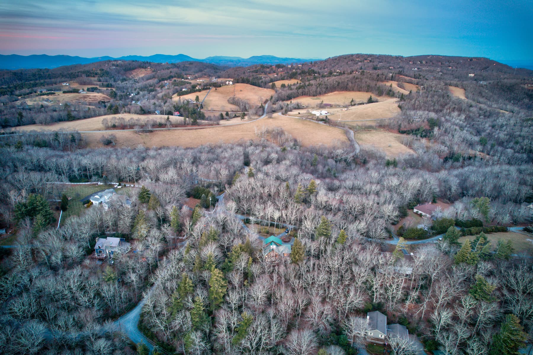 Blueberry Hills - Image 42