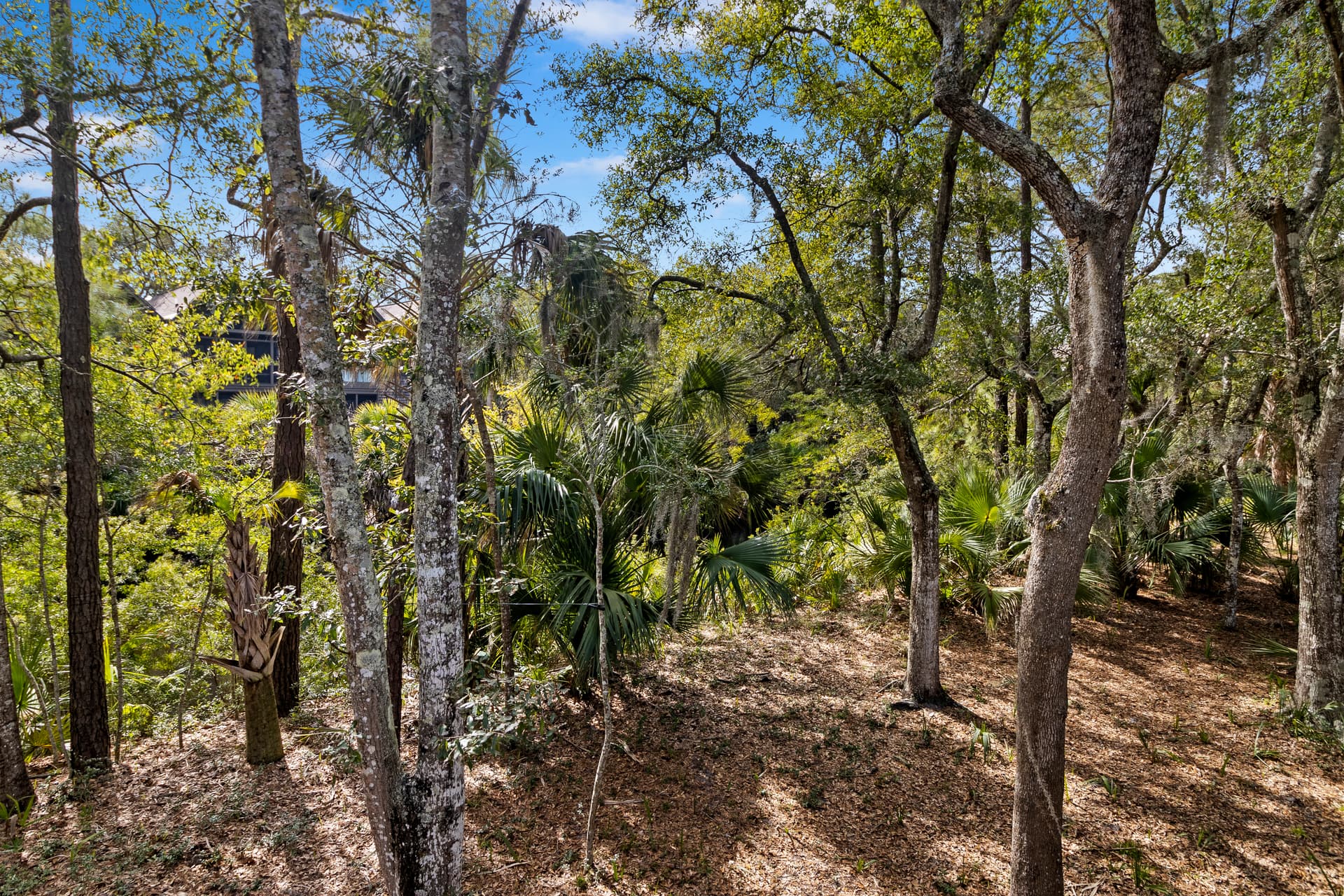 Bulrush Lane - Image 32