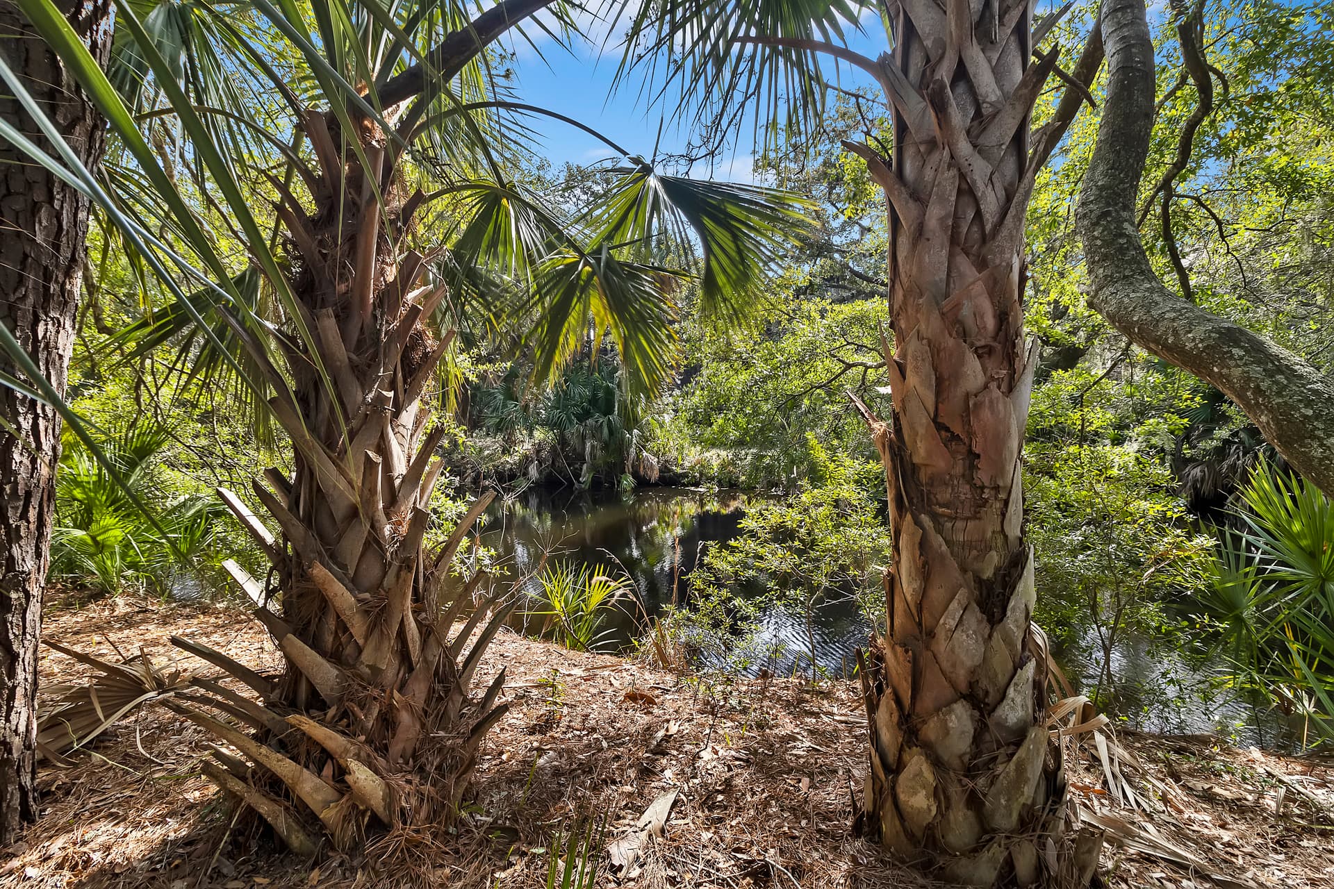 Bulrush Lane - Image 33