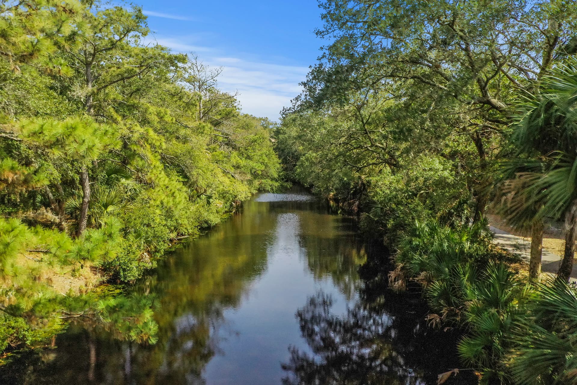 Bulrush Lane - Image 36