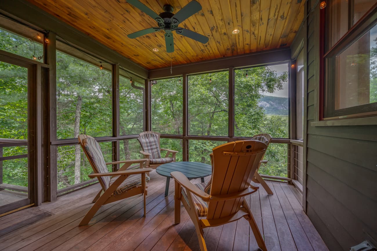 Branching Out - Image 16