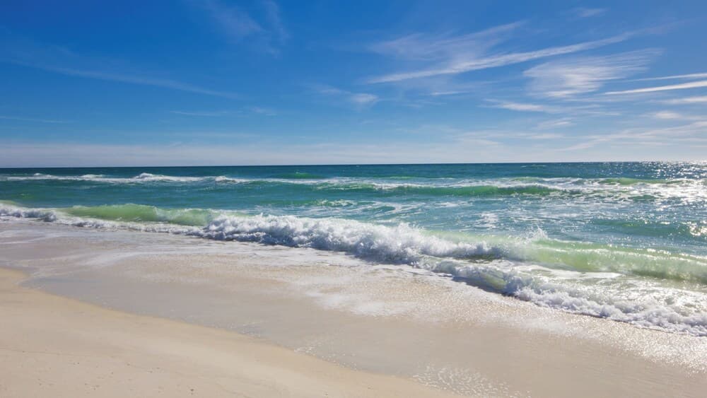 Coralwind Escape - Image 39