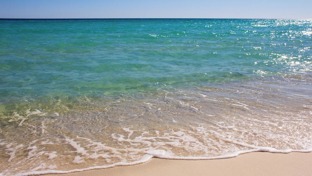 Coralwind Escape - Image 40