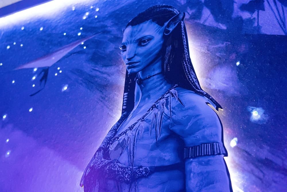 Grand Escape at Windsor Island - Image 38