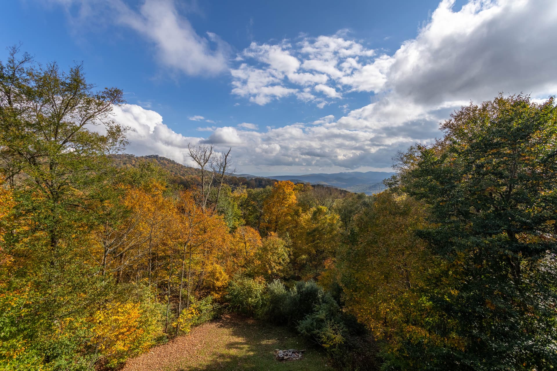 Buckhorn Lodge - Image 42