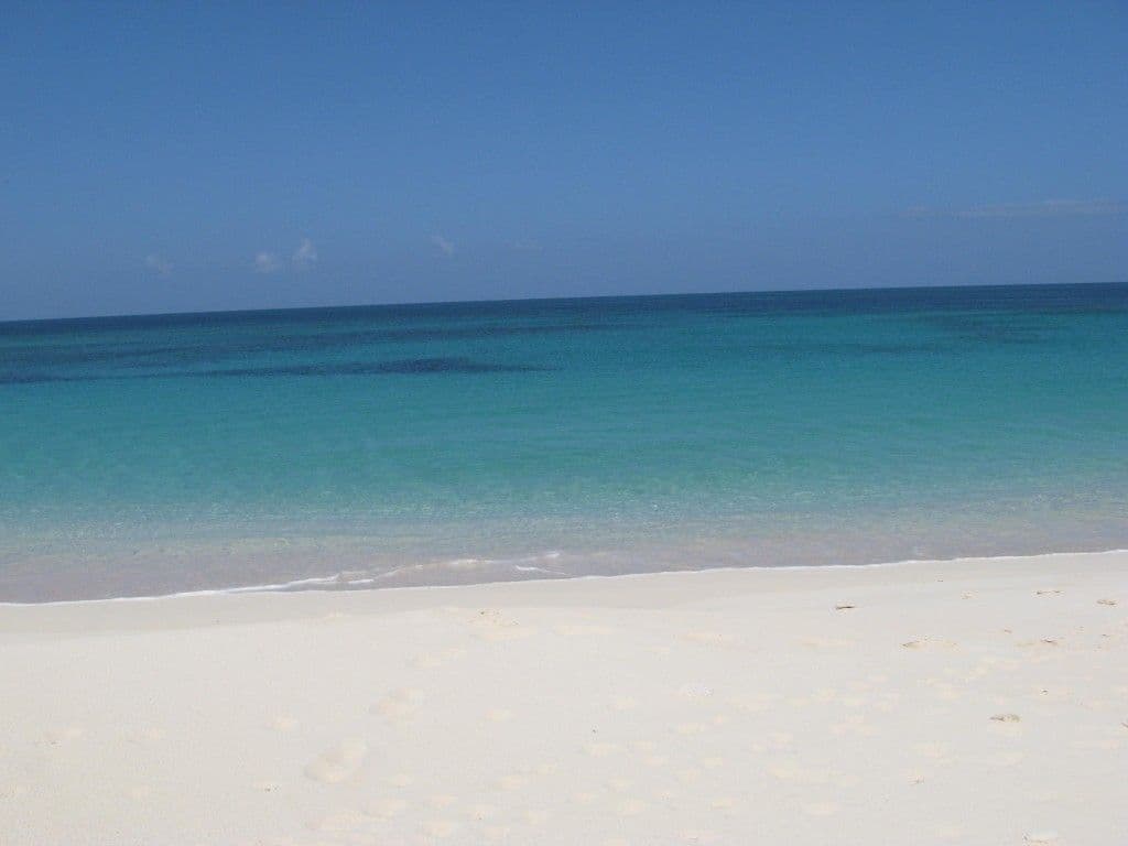 Buttonwood Reserve 1C - Image 20