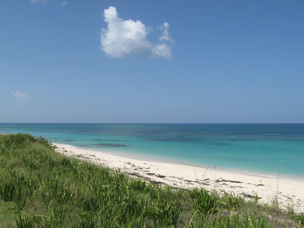 Buttonwood Reserve 1C - Image 5