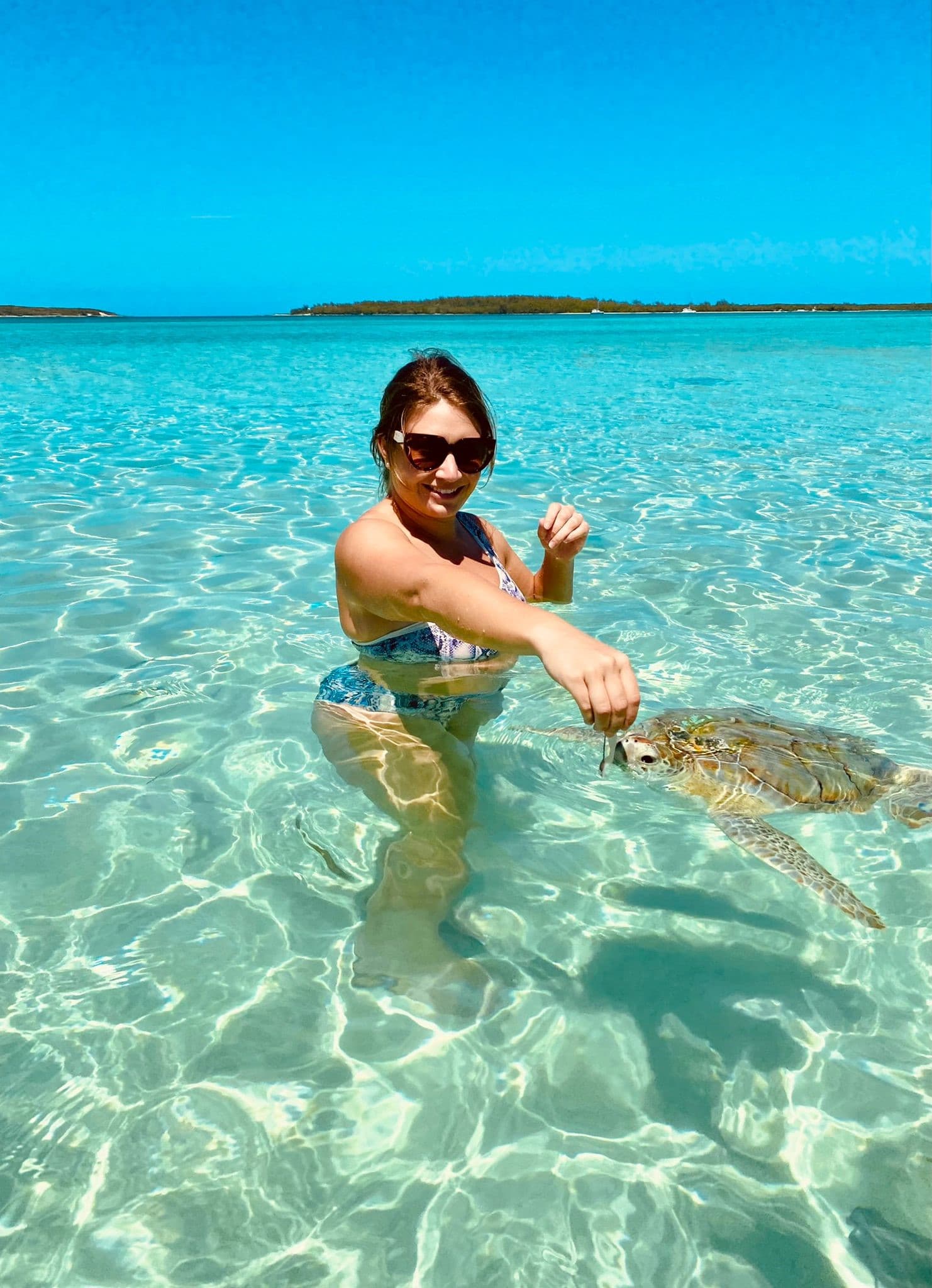 Buttonwood Reserve 1C - Image 27