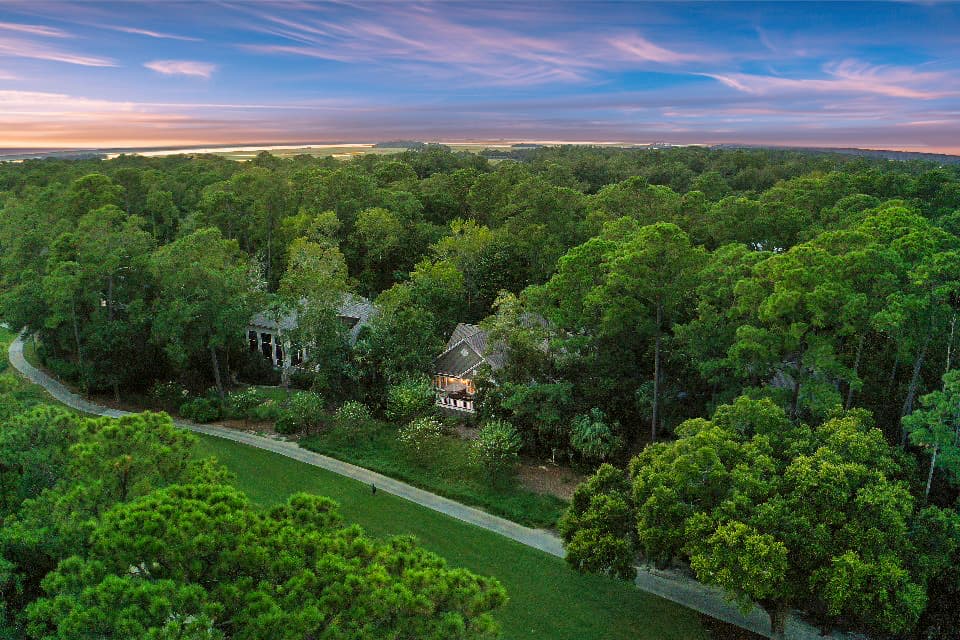 Baywood Solace - Image 2