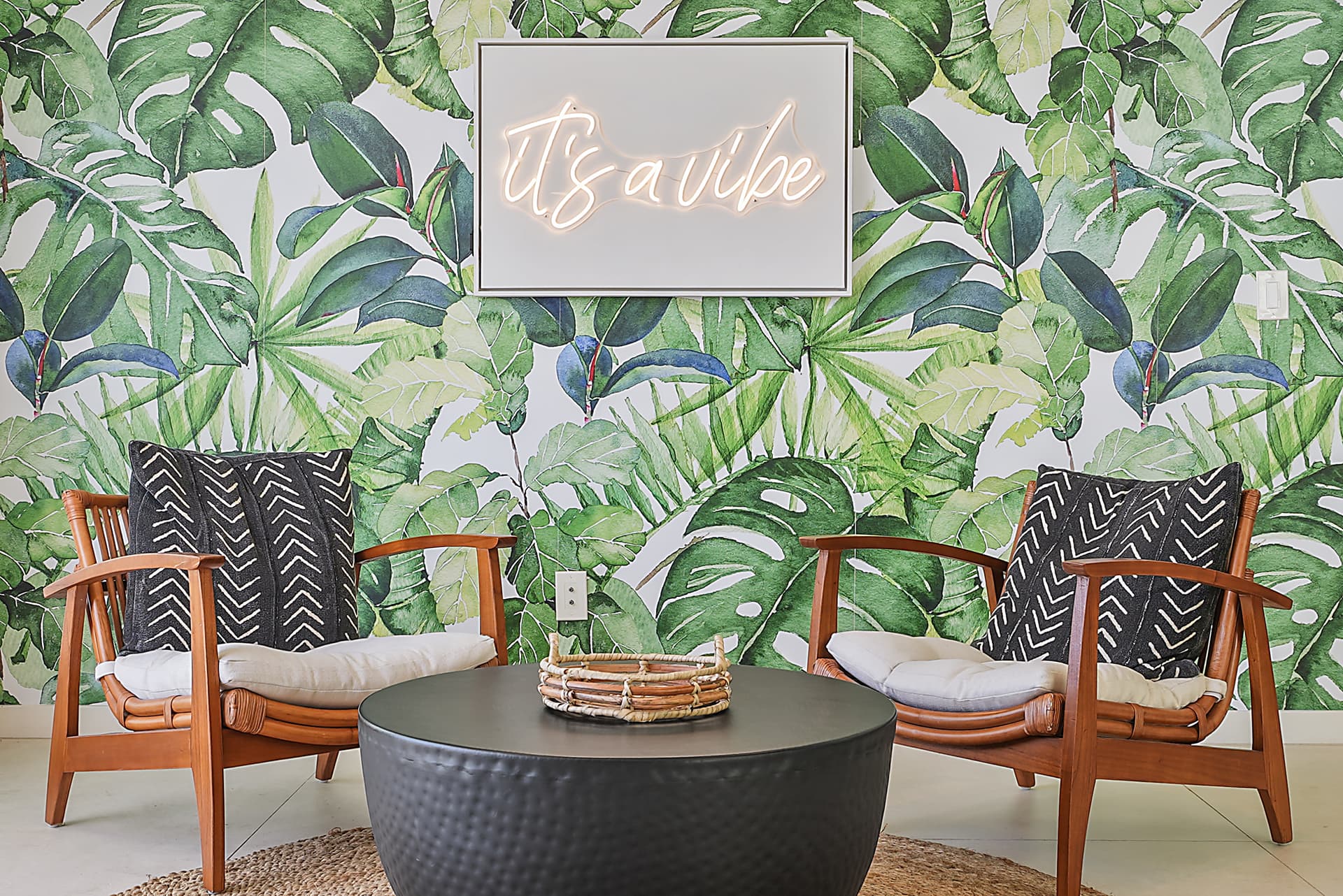 Bird Rock Paradise - Image 8