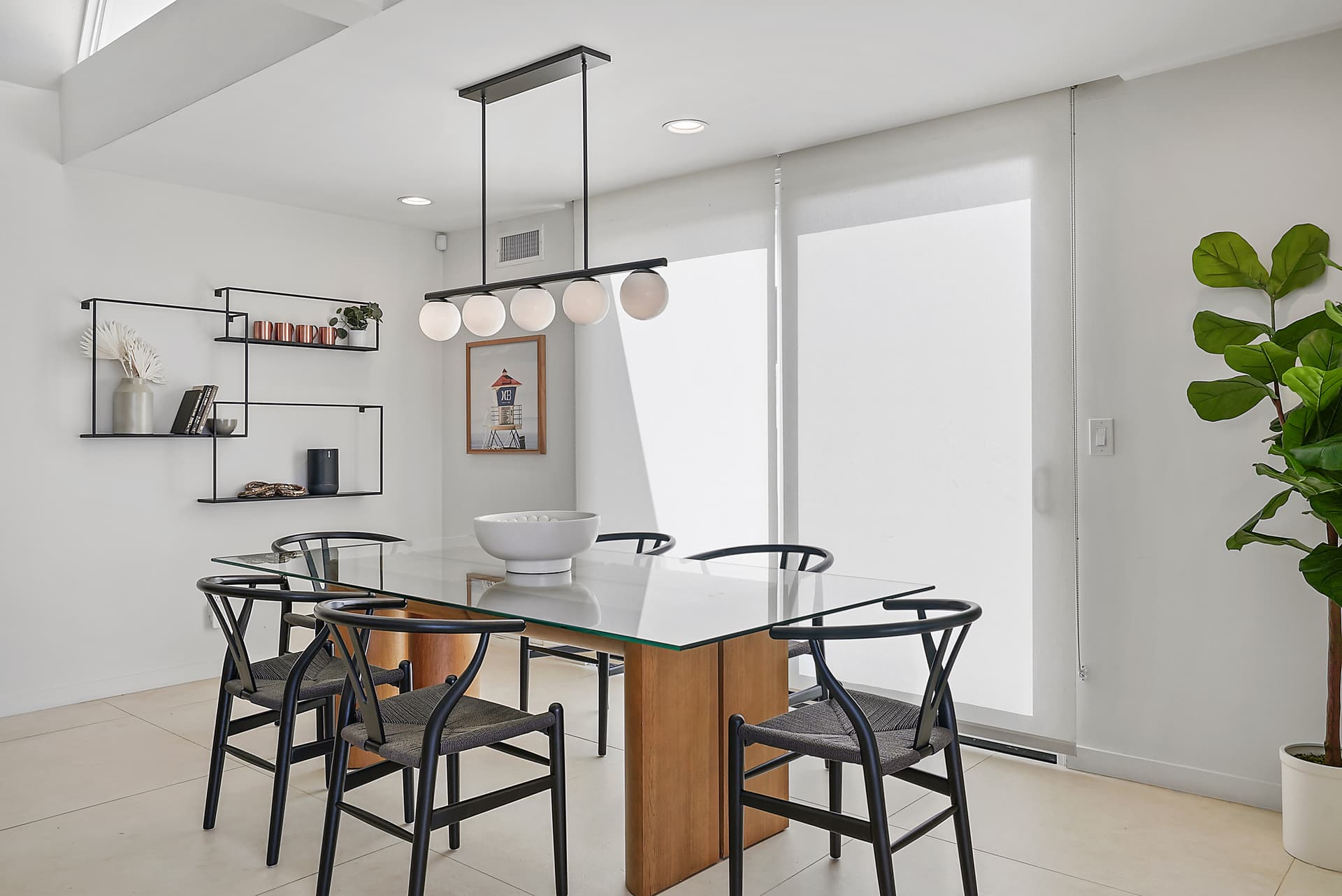 Bird Rock Paradise - Image 9