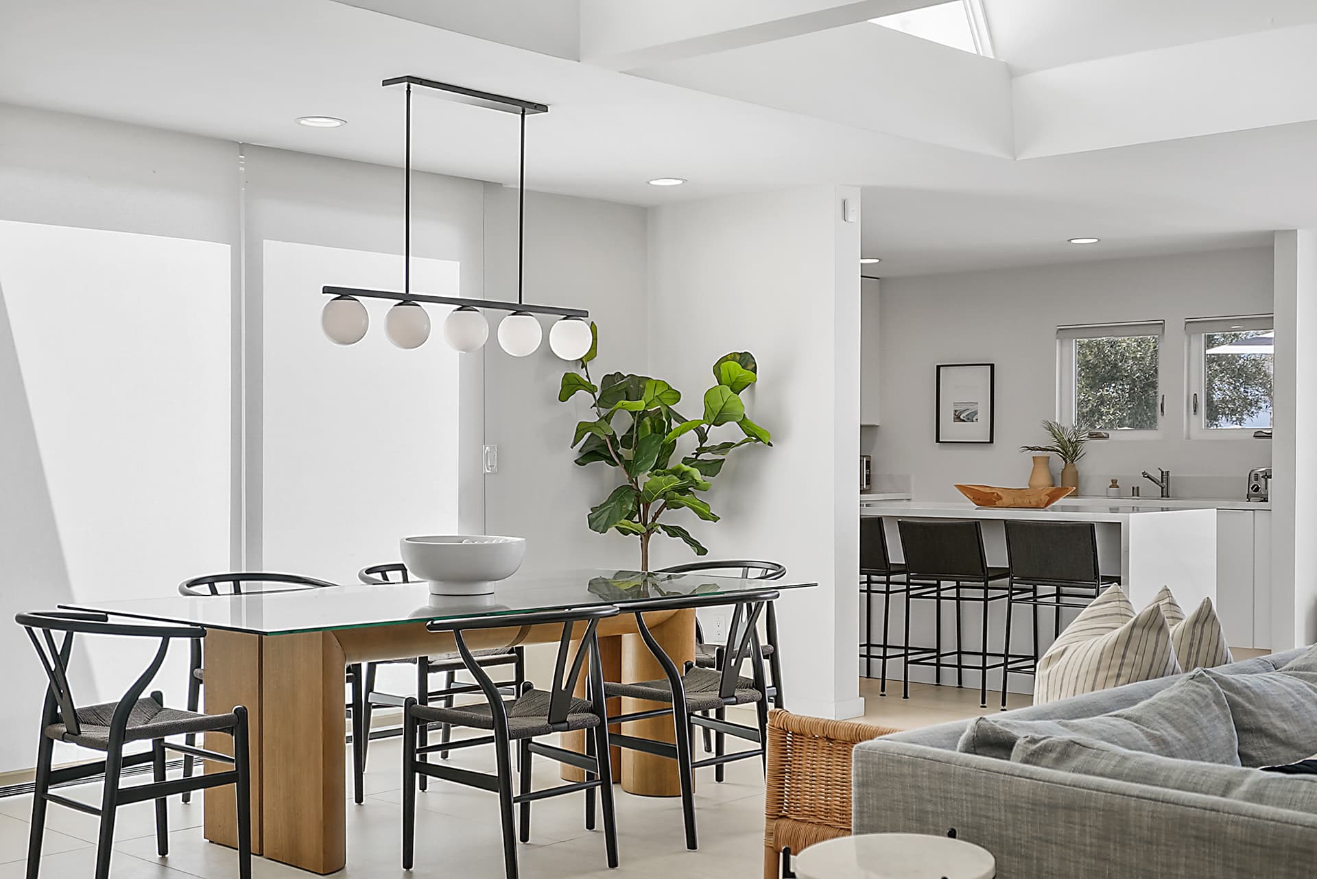 Bird Rock Paradise - Image 3