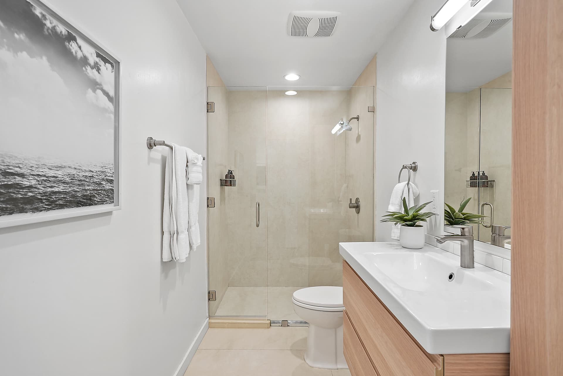 Bird Rock Paradise - Image 18