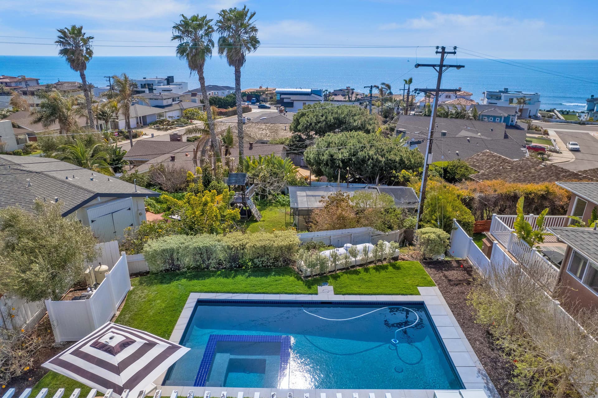 Bird Rock Paradise - Image 2