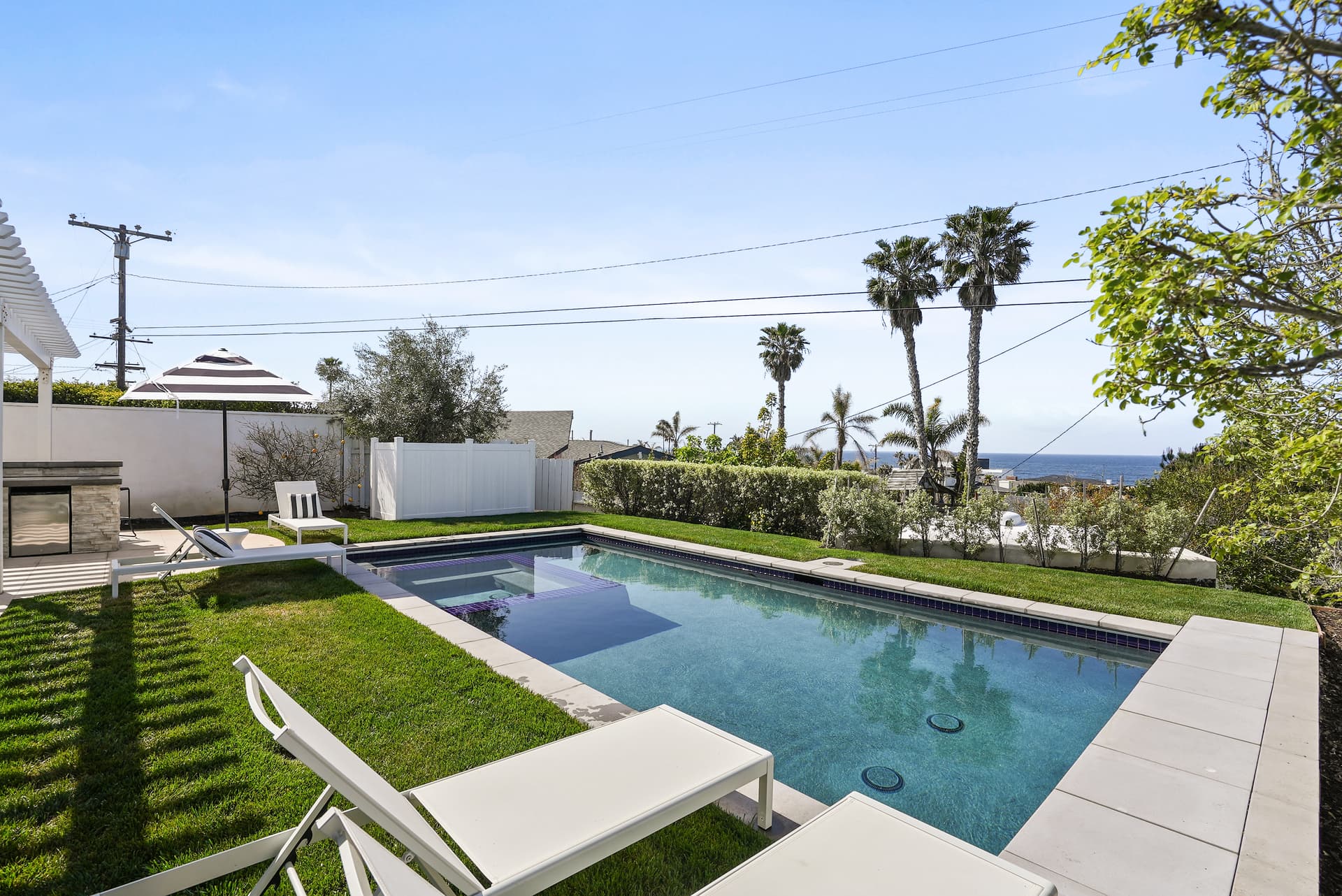 Bird Rock Paradise - Image 28