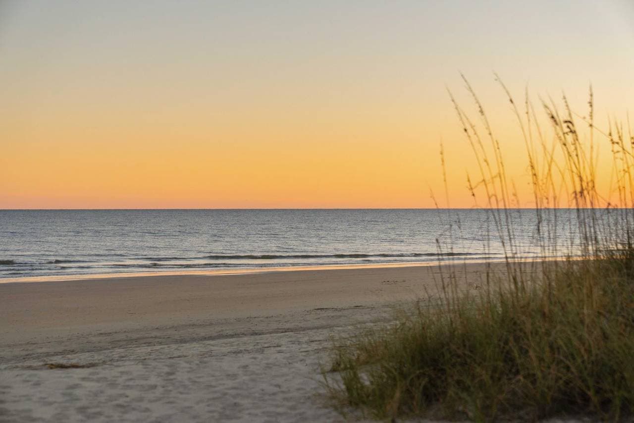 Grand Pavilion by the Sea - Image 80