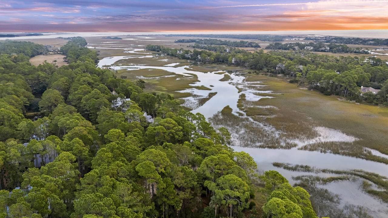 Blue Heron Pond - Image 62