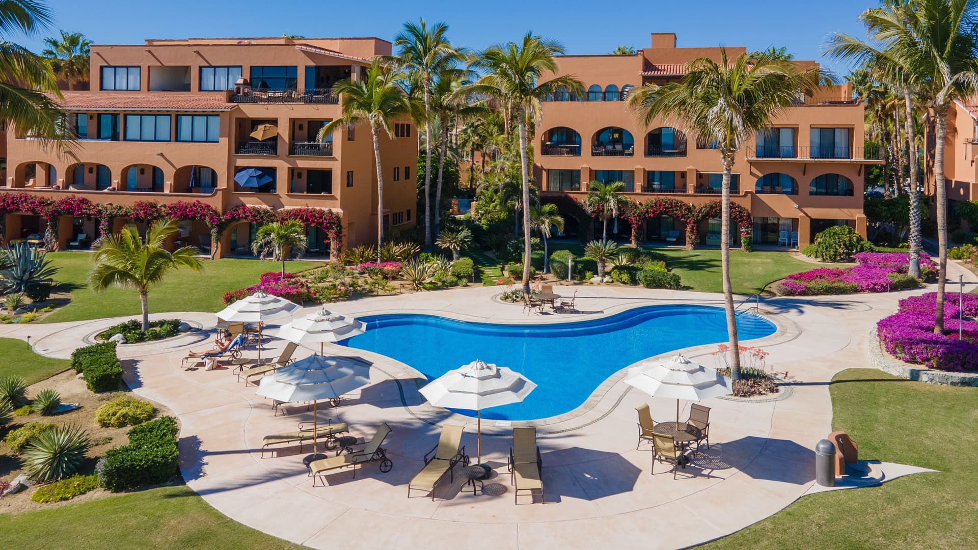 Cabo Dream Escape - Image 20