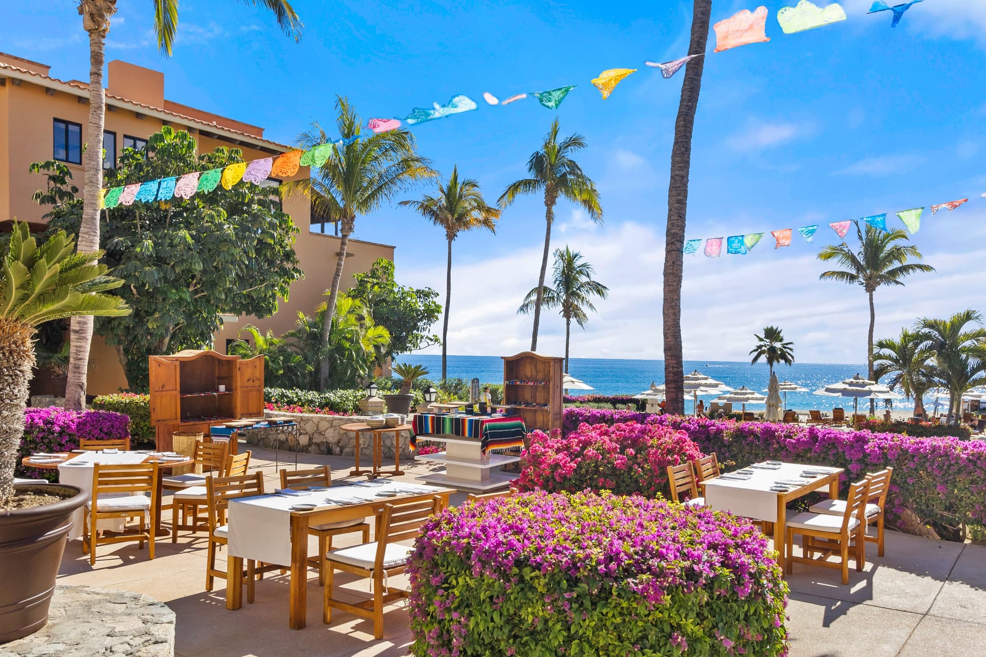 Cabo Dream Escape - Image 23