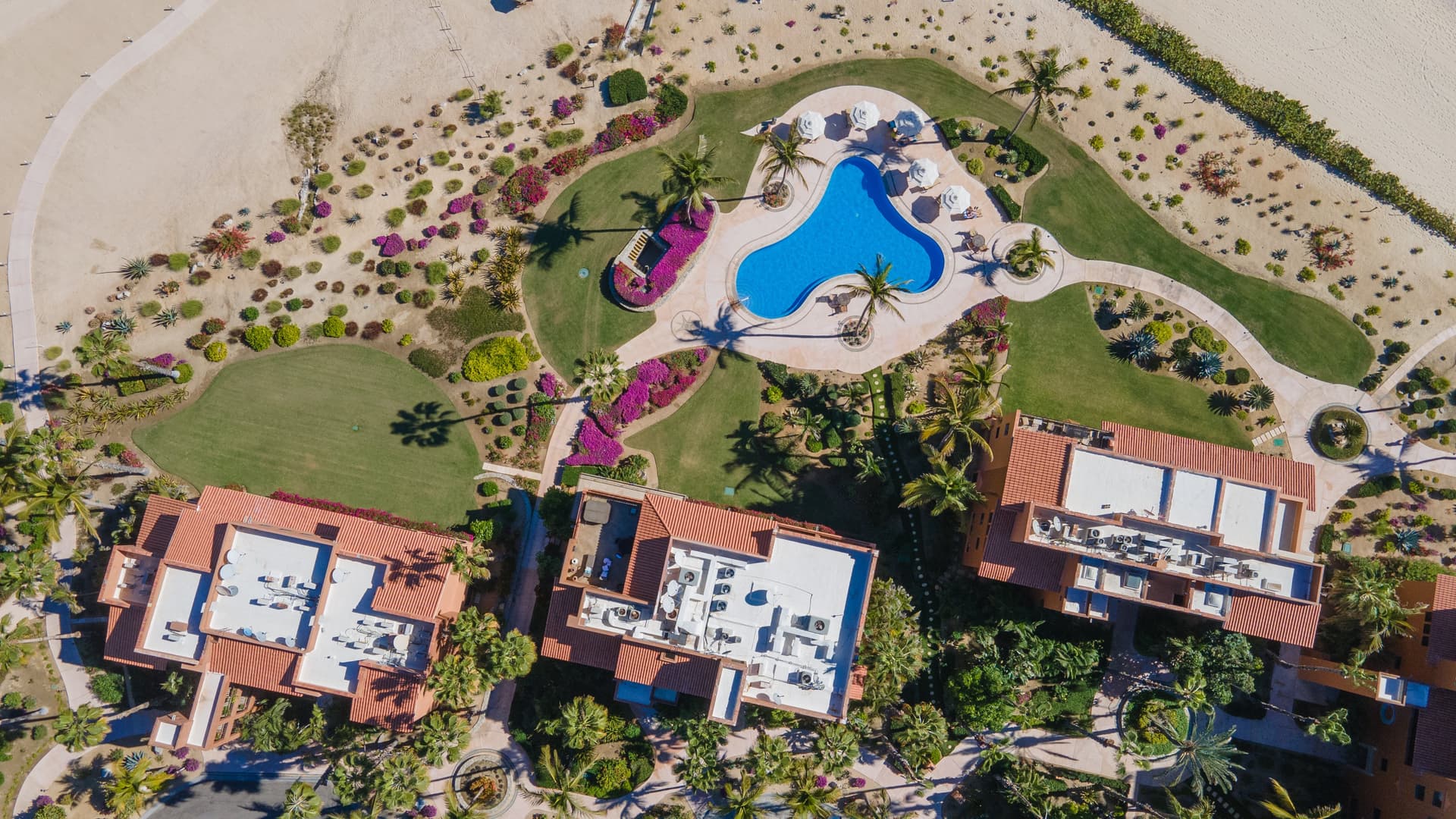 Cabo Dream Escape - Image 47