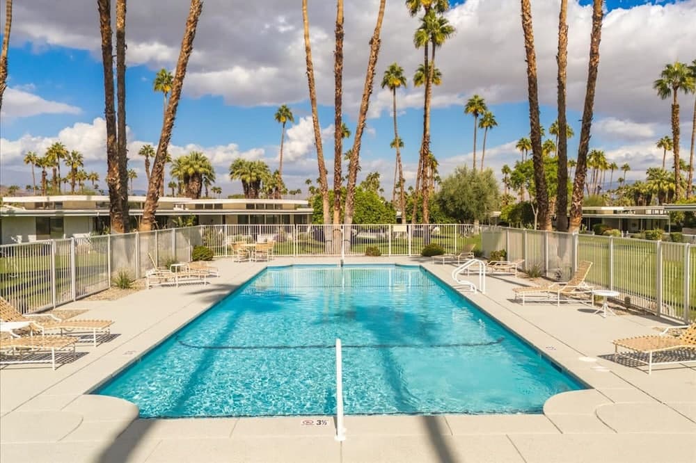 Canyon Palm - Image 2