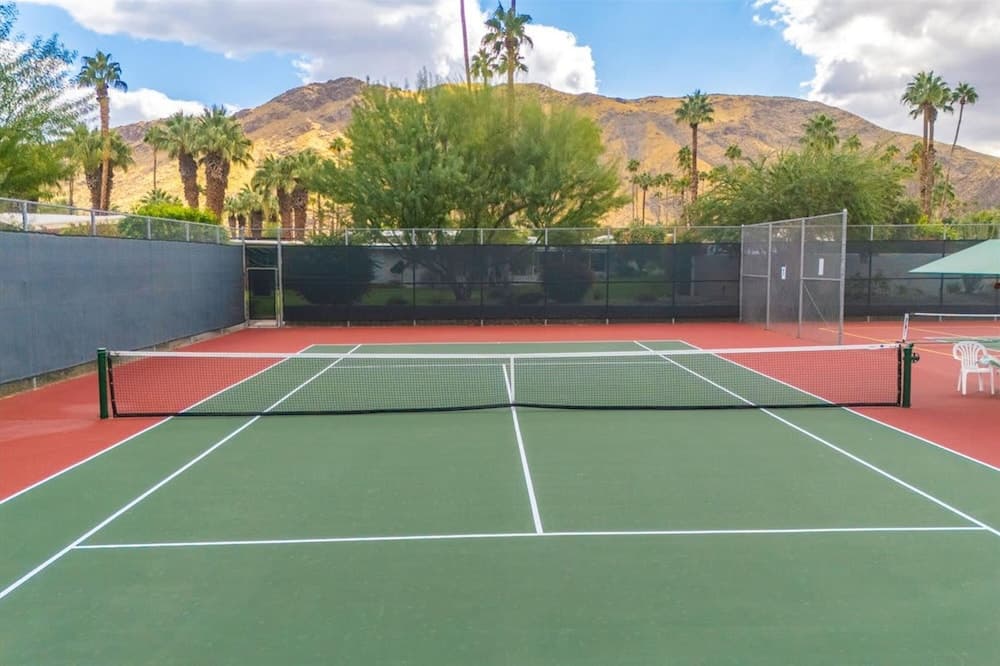 Canyon Palm - Image 4