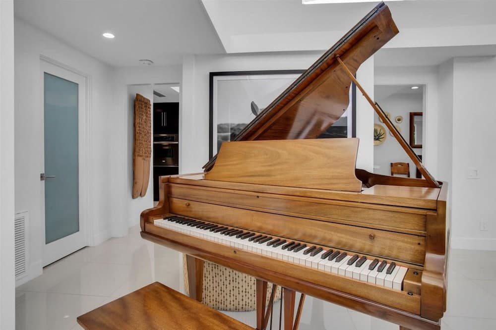 Canyon Palm - Image 12