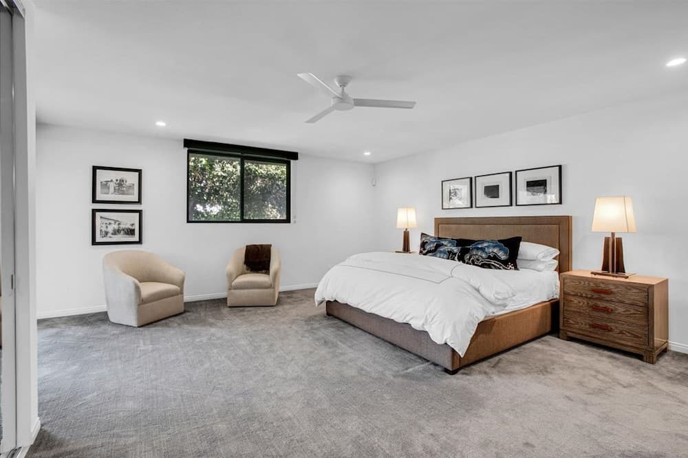 Canyon Palm - Image 20