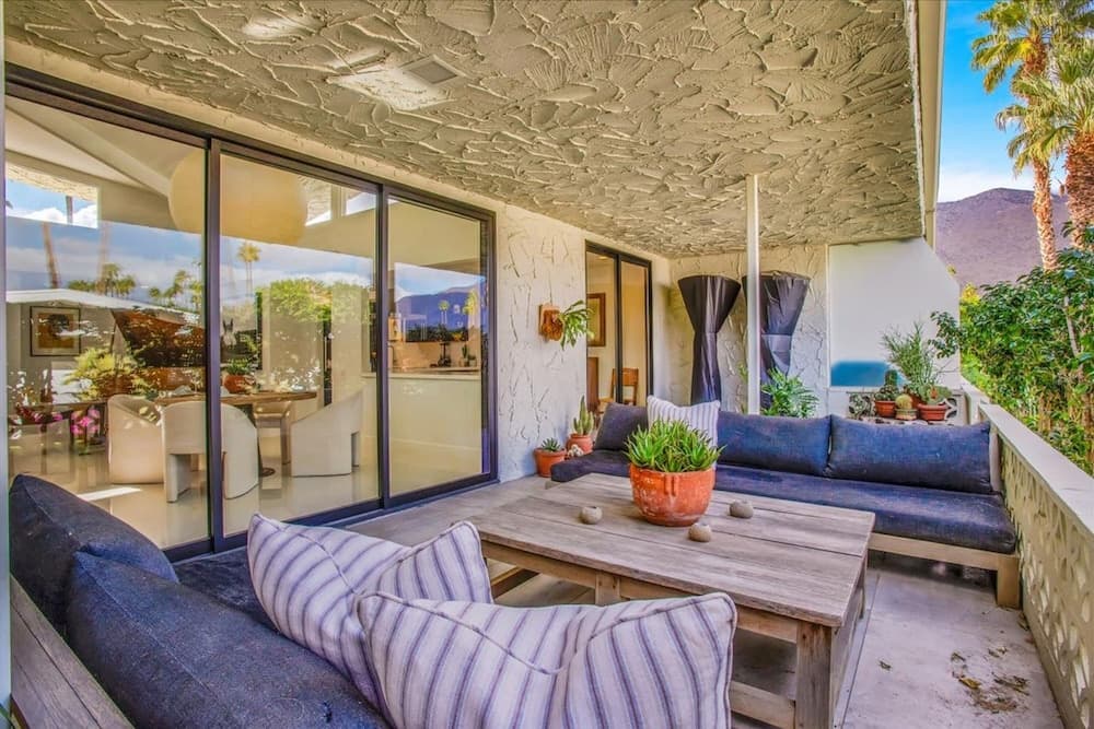 Canyon Palm - Image 38