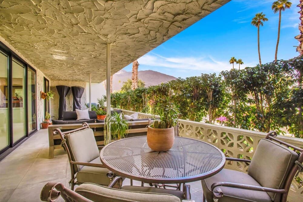 Canyon Palm - Image 40