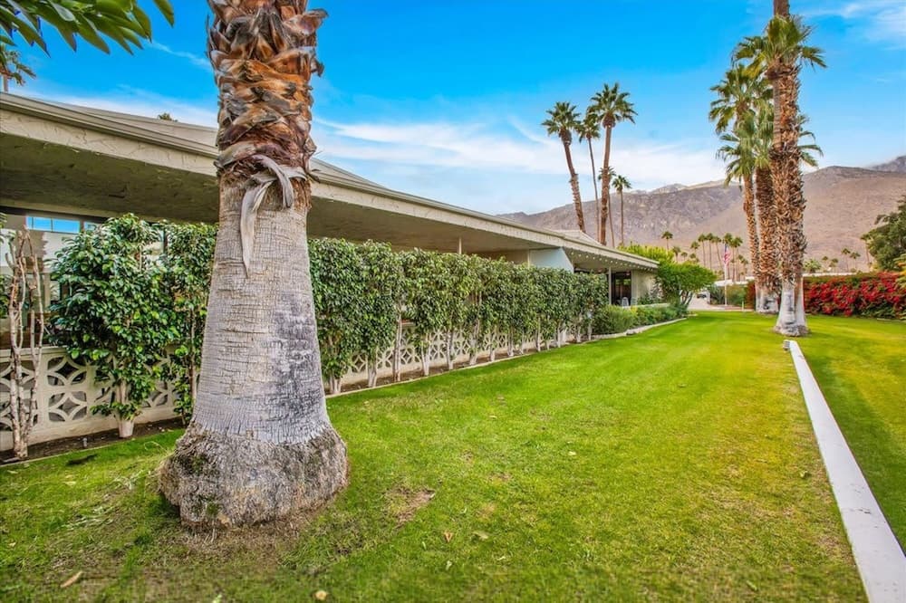 Canyon Palm - Image 42