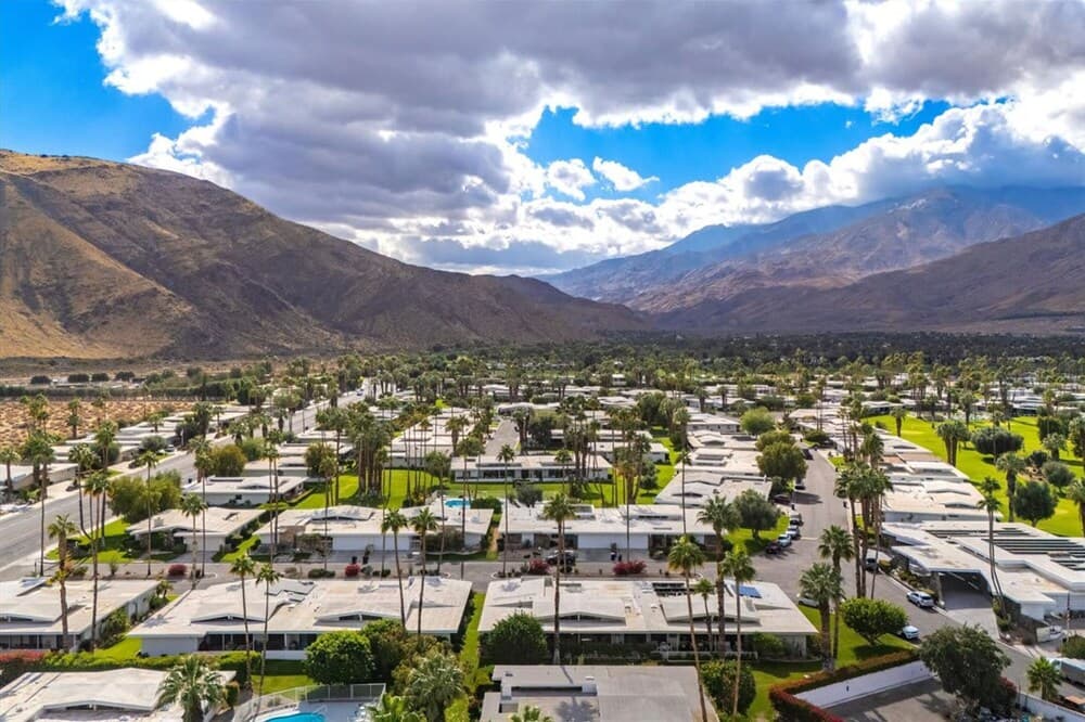 Canyon Palm - Image 44